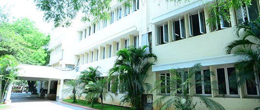 Safety Matches Exporters - Asia Match